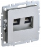 Розетка компьютерная двойная СП RJ45 кат.5E BRITE РК10-2-БрА алюм. IEK BR-K20-1-K47 BR-K20-1-K47
