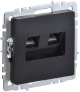 Розетка компьютерная двойная СП RJ45 кат.5E BRITE РК10-2-БрЧ черн. IEK BR-K20-1-K02 BR-K20-1-K02
