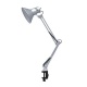 Светильник настольный под лампу СНС 13С на струбцине 60Вт E27 230В серебр. (коробка) IN HOME 4690612012889 4690612012889