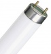 Лампа PHILIPS MASTER TL-D Super 80 18W/840 18Вт T8 4000К G13 871829124053200 27920084055