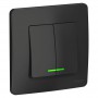 Выключатель 2-кл. СП Blanca 10А IP20 (сх. 5) 250В с подсветкой антрацит SE BLNVS010516 BLNVS010516