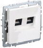Розетка компьютерная двойная СП RJ45 кат.5E BRITE РК10-2-БрБ бел. IEK BR-K20-1-K01 BR-K20-1-K01