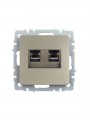 Розетка компьютерная двойная СП RJ45 кат.5E BRITE РК10-2-БрШ шампань IEK BR-K20-1-K37 BR-K20-1-K37