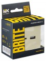 Розетка BRITE USB A+C 18Вт РЮ11-1-БрКр беж. IEK BR-U22-018-K10 BR-U22-018-K10