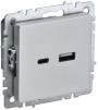 Розетка BRITE USB A+C 18Вт РЮ11-1-БрА алюм. IEK BR-U22-018-K47 BR-U22-018-K47