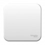 Выключатель 1-кл. ОП Blanca 10А IP20 (сх. 1) 250В с металлич. пластиной бел. SE BLNVA101021 BLNVA101021