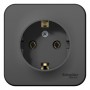 Розетка 1-м ОП Blanca 16А IP20 250В с заземл. без защ. шторок с изолир. пластиной антрацит SE BLNRA010116 BLNRA010116