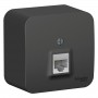 Розетка компьютерная 1-м ОП Blanca RJ45 кат.5E с изолир. пластиной антрацит SE BLNIA045006 BLNIA045006