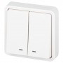 Выключатель Эксперт 11-1525-01 двойн. с подсветкой IP55 10АХ-250В СУ бел. Эра Б0063304 Б0063304