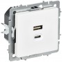 Розетка СП BRITE РЮ11-2-БрАБ USB A+C 45Вт высокоскор. заряд. арктич. бел. IEK BR-U22-045-K91 BR-U22-045-K91