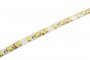 Лента светодиодная PLS 5050/60-12V 14.4Вт/м IP65 бел. (уп.5м) JazzWay 1000958 1000958