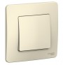Выключатель 1-кл. СП Blanca 10А IP20 (сх. 1) 250В молочн. SE BLNVS010102 BLNVS010102