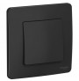 Переключатель проходной 1-кл. СП Blanca 10А IP20 (сх. 6) 250В антрацит SE BLNVS010606 BLNVS010606